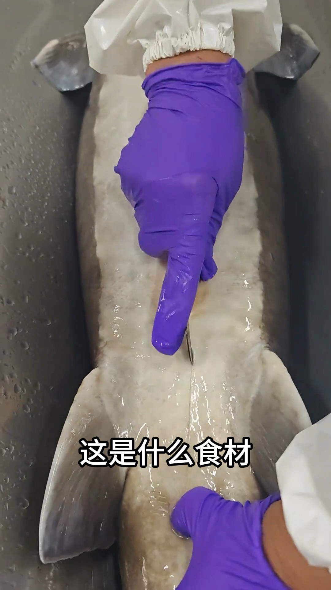 世界顶级食材，吃过的都是大佬！你吃过几个？