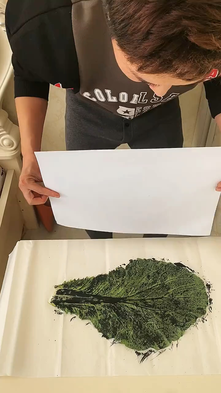 白菜绘画祝大家菜篮子丰收