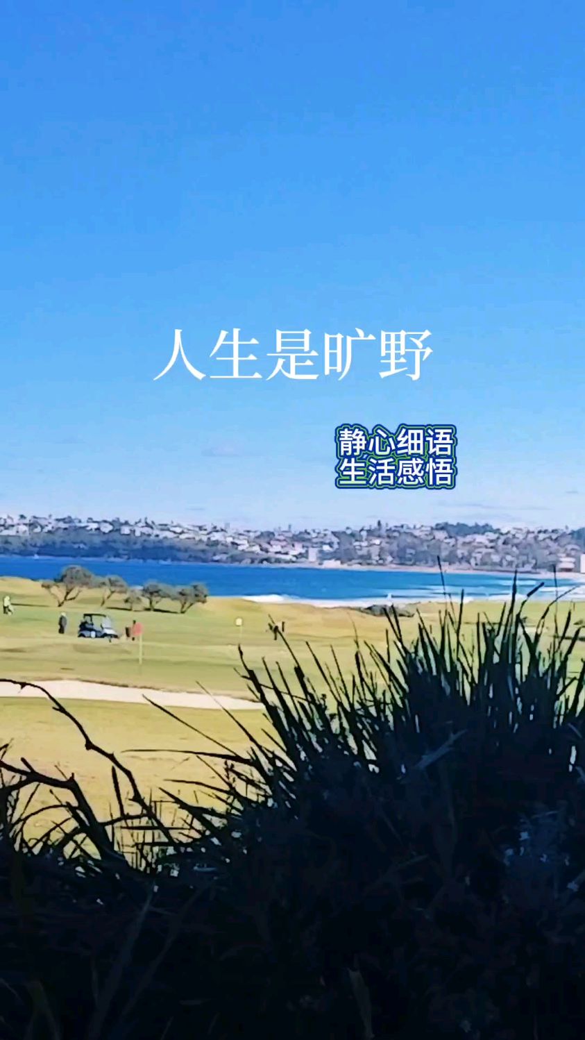 人生是旷野,不是轨道