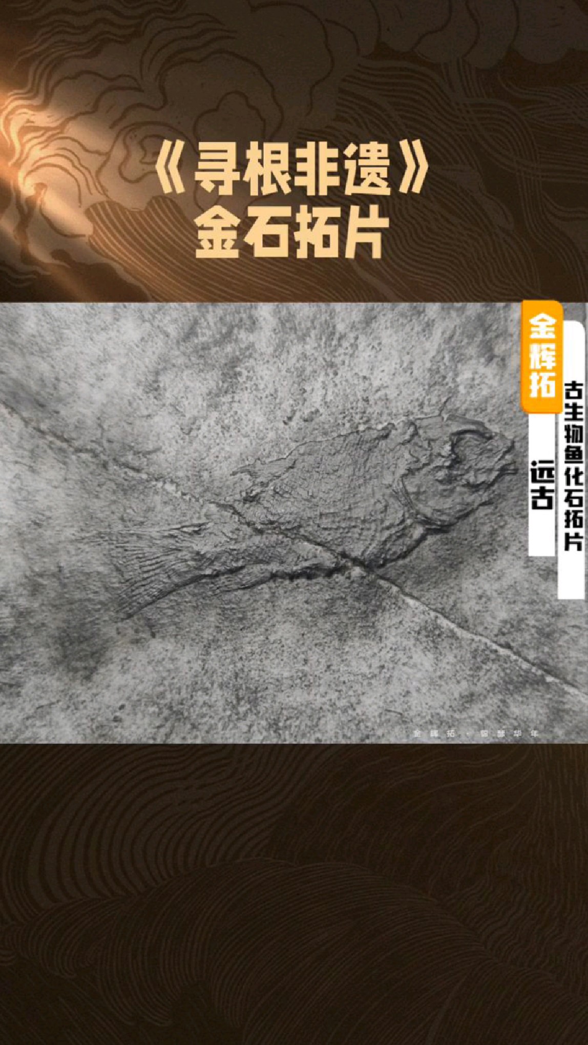 一只穿越万年的鱼#古鱼化石拓片#金辉拓