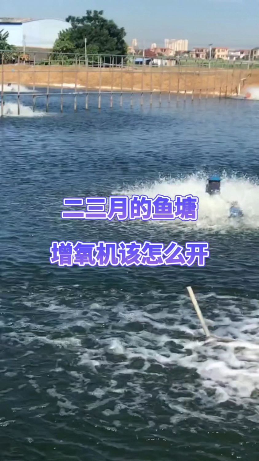 二三月的鱼塘增氧机怎么开?