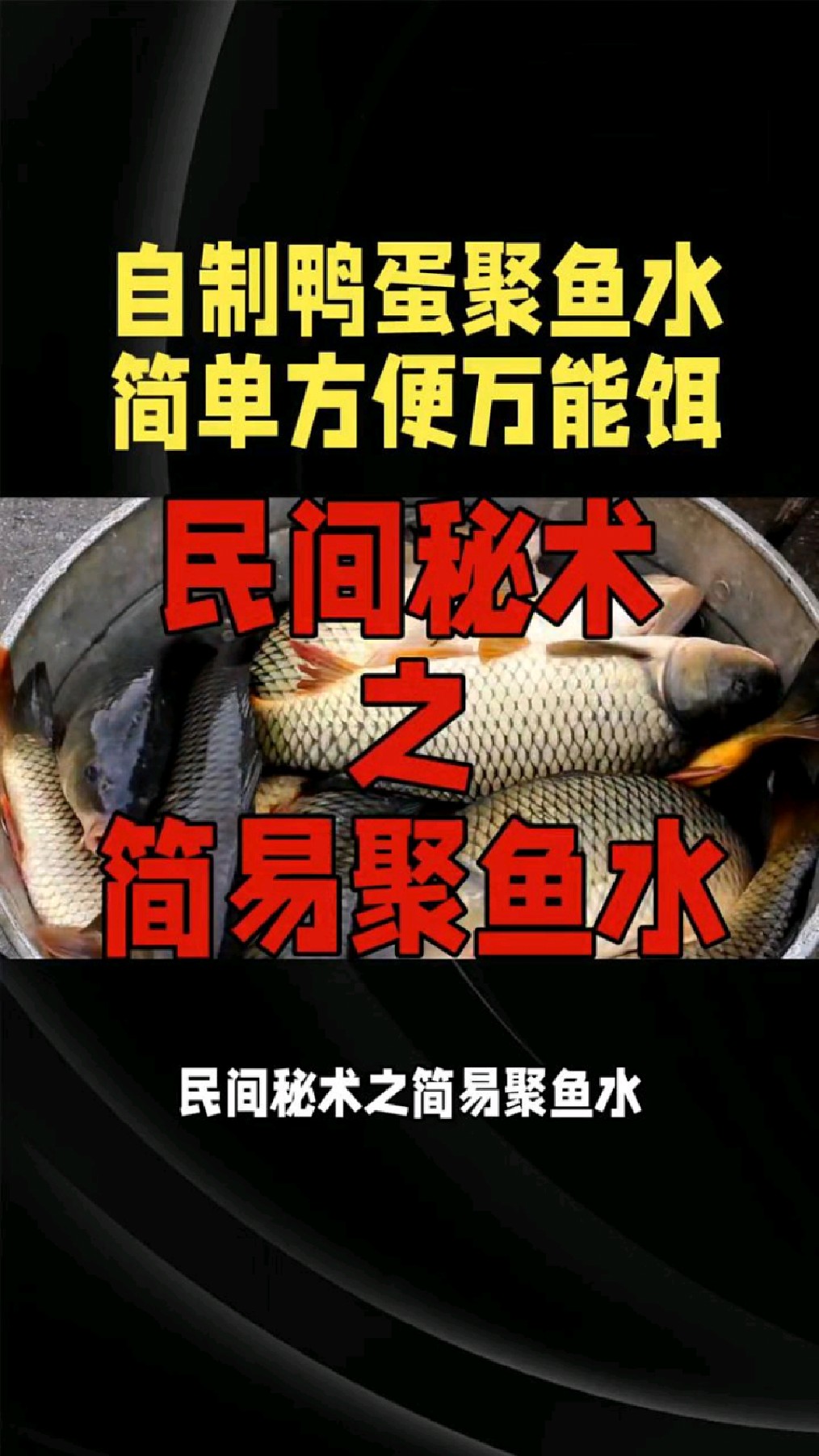 自制鸭蛋聚鱼方法