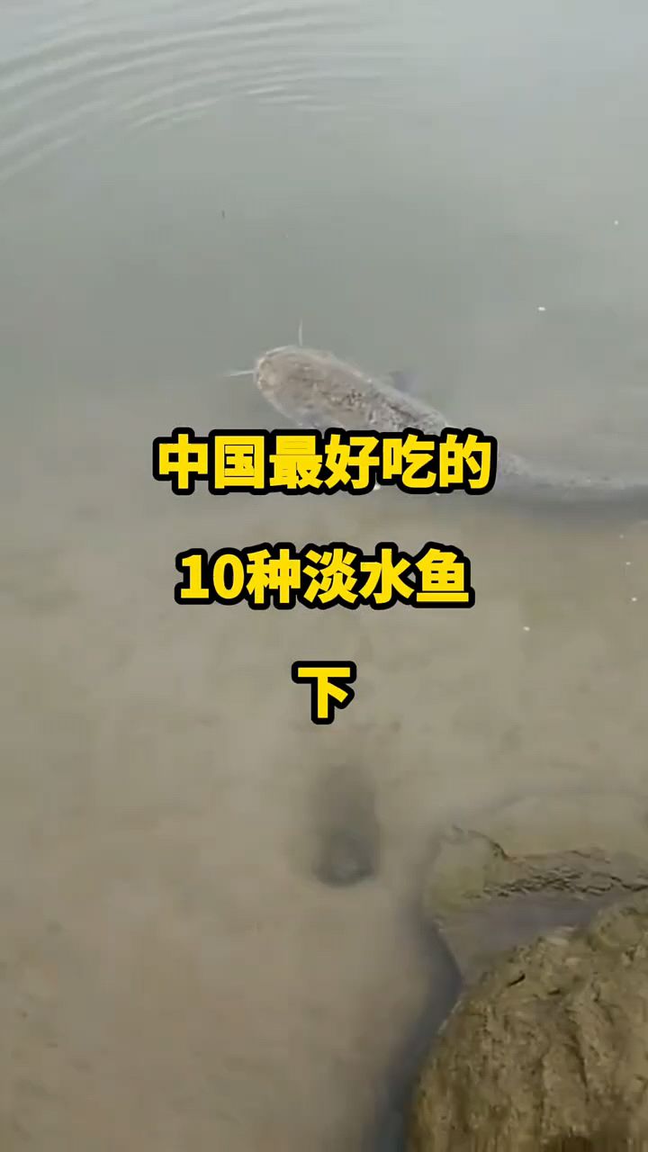 中国最好吃的十种淡水鱼