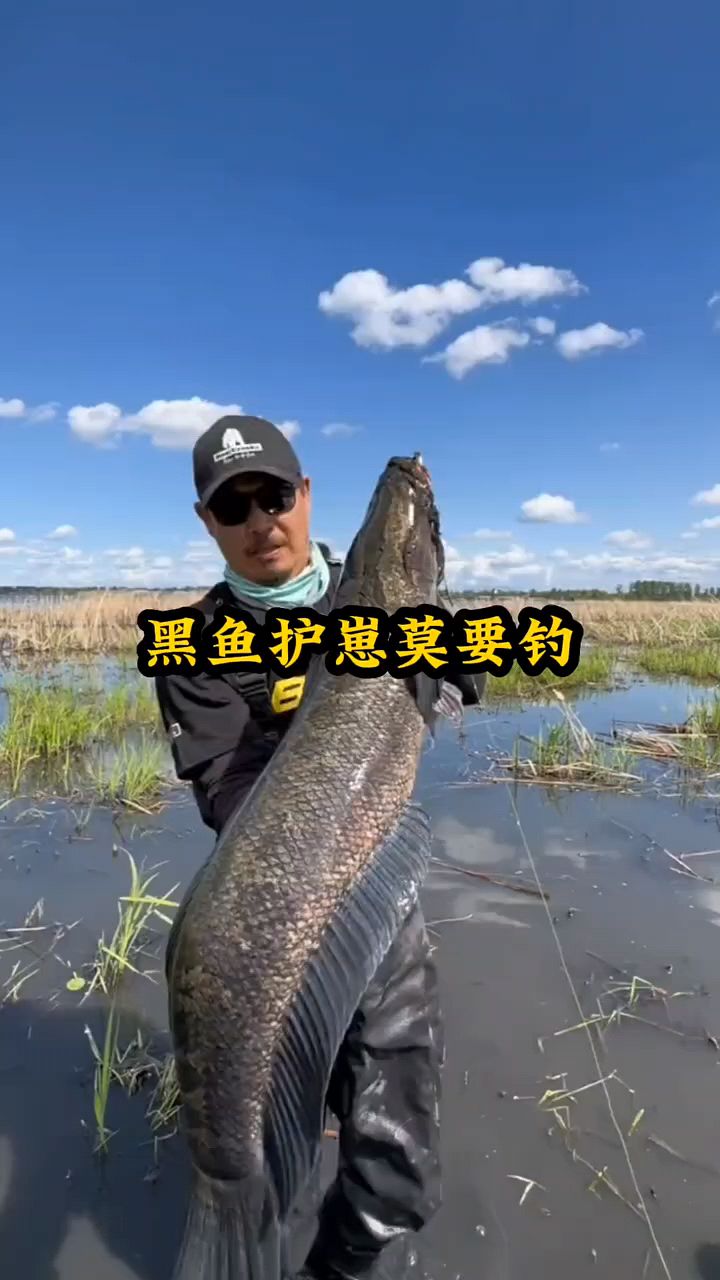 黑鱼保护孩子莫要钓