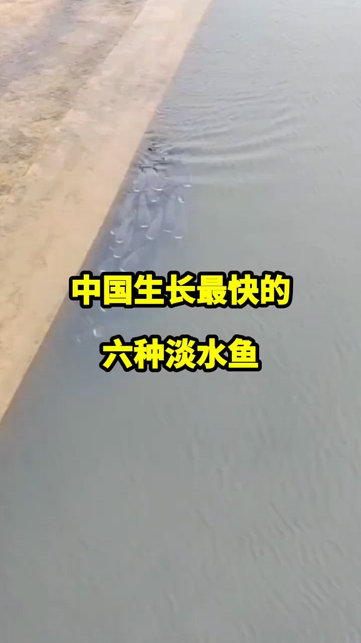中国生长最快的几种淡水鱼