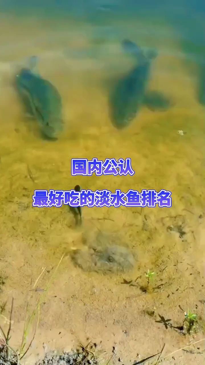 你认为最好吃的淡水鱼是什么？