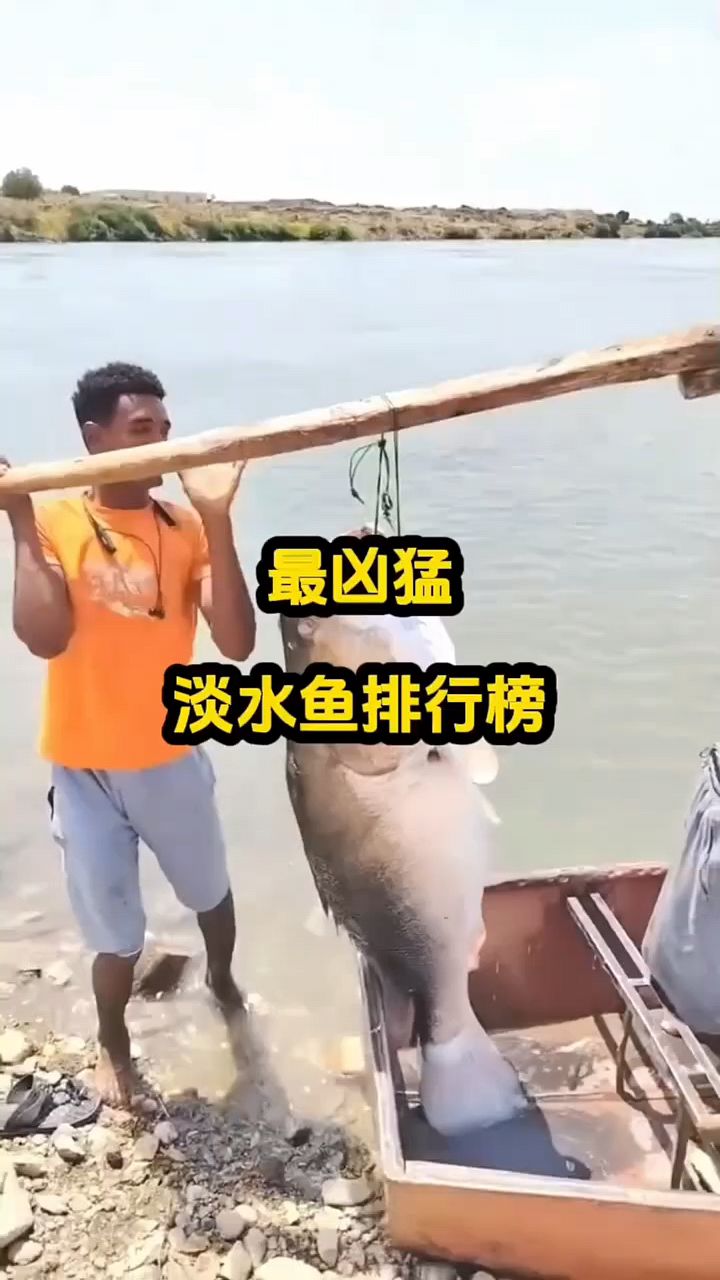 最凶猛的淡水鱼排行