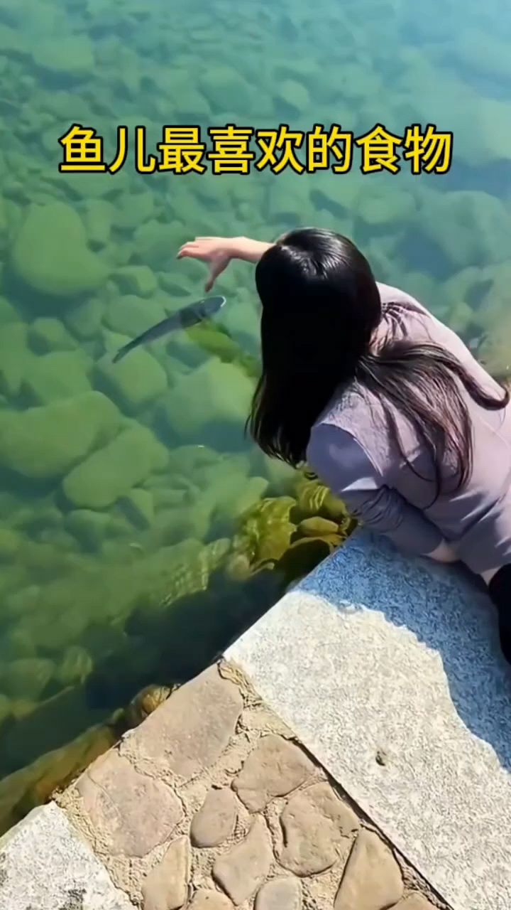 鱼最喜欢的食物你知道吗