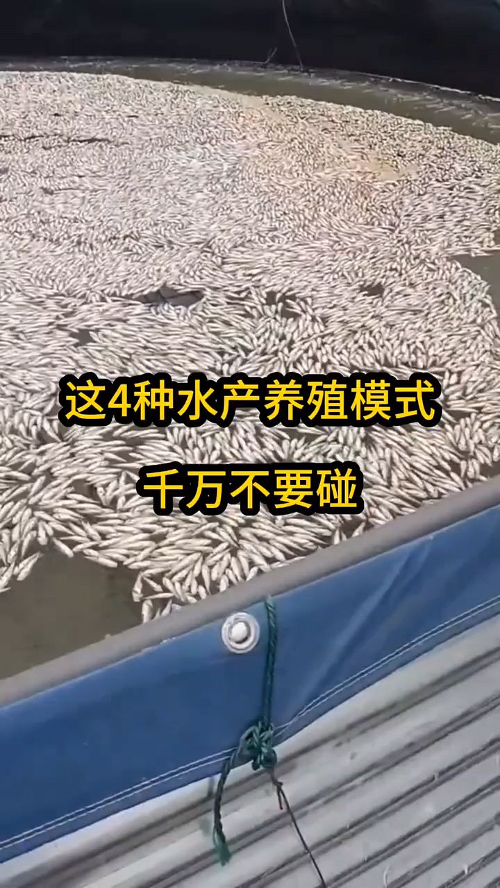 这几种水产养殖模式可能是骗局