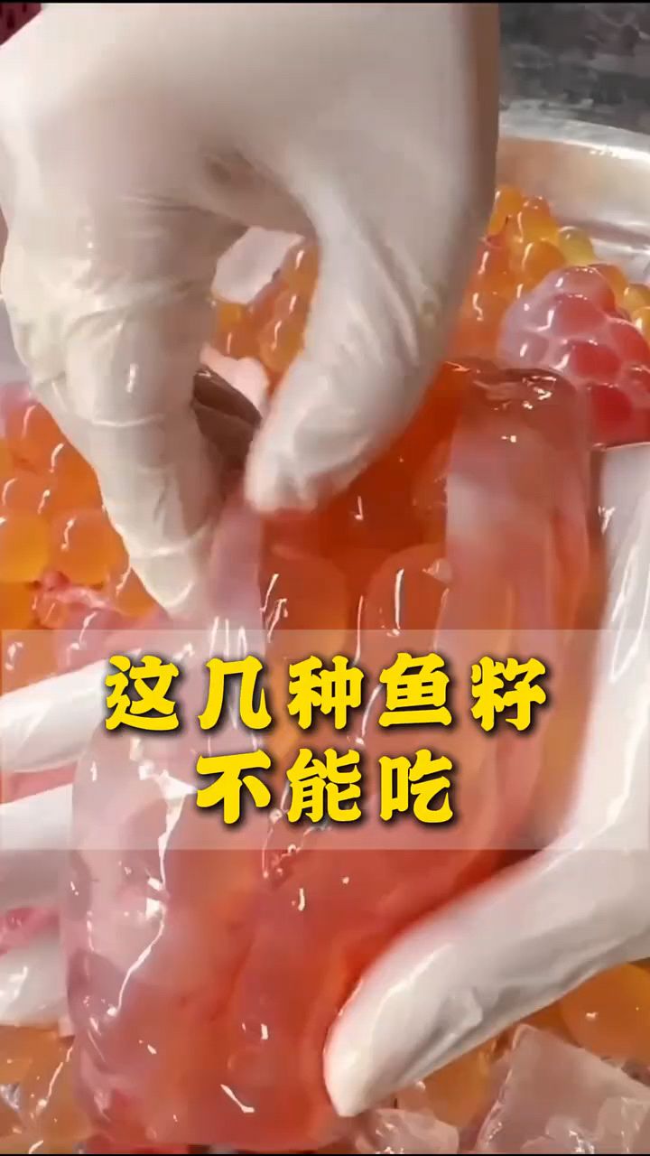 这几种鱼籽不能吃啊