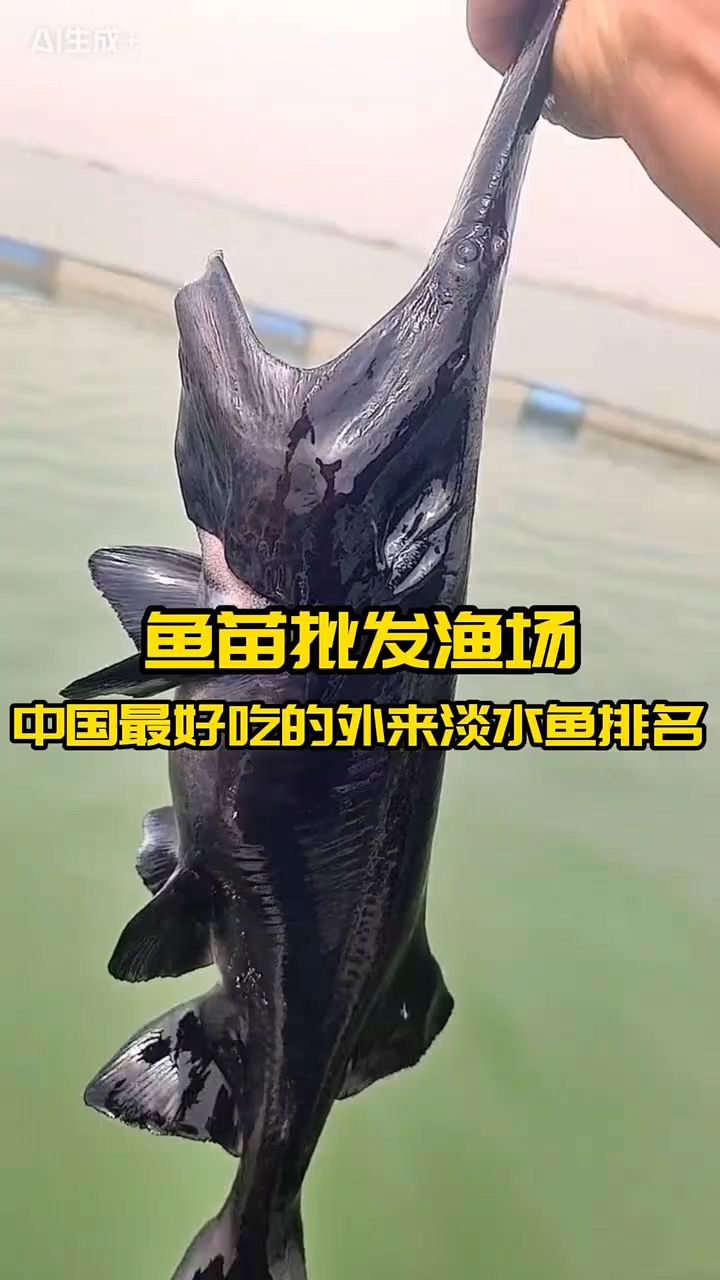 最好吃的淡水鱼排名