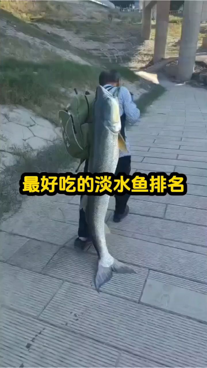 最好吃的淡水鱼你认为呢