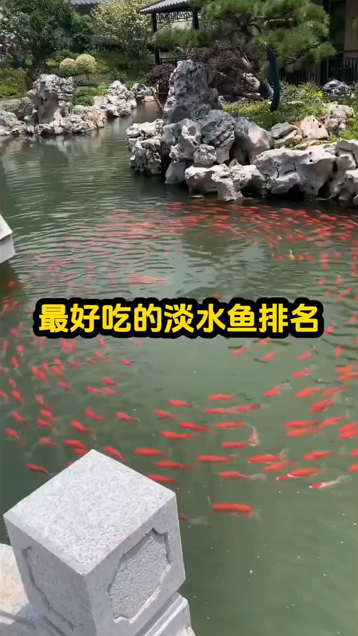 最好吃的淡水鱼排名