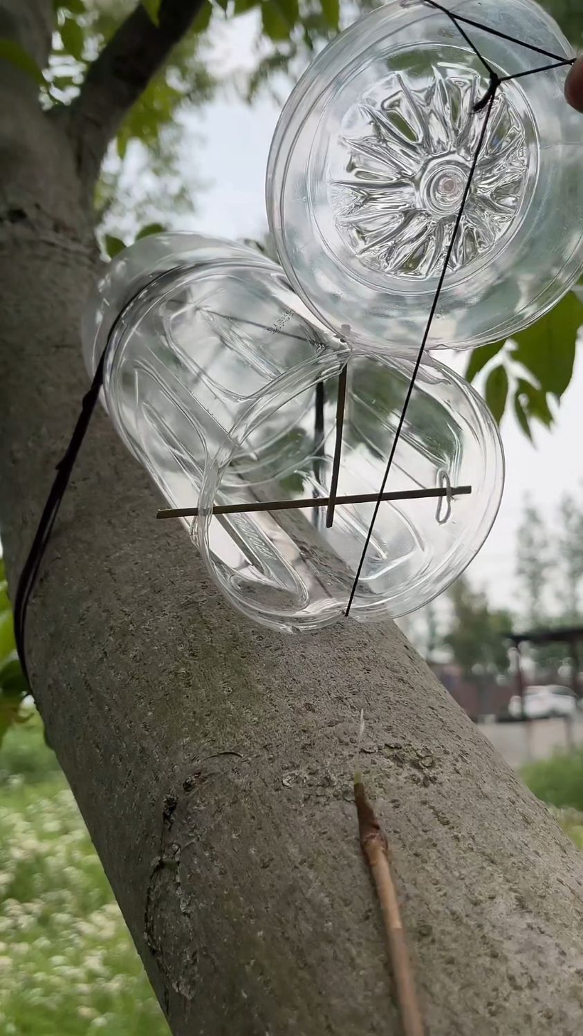 如何用一个废弃的矿泉水瓶快速制作一个抓老鼠神器?