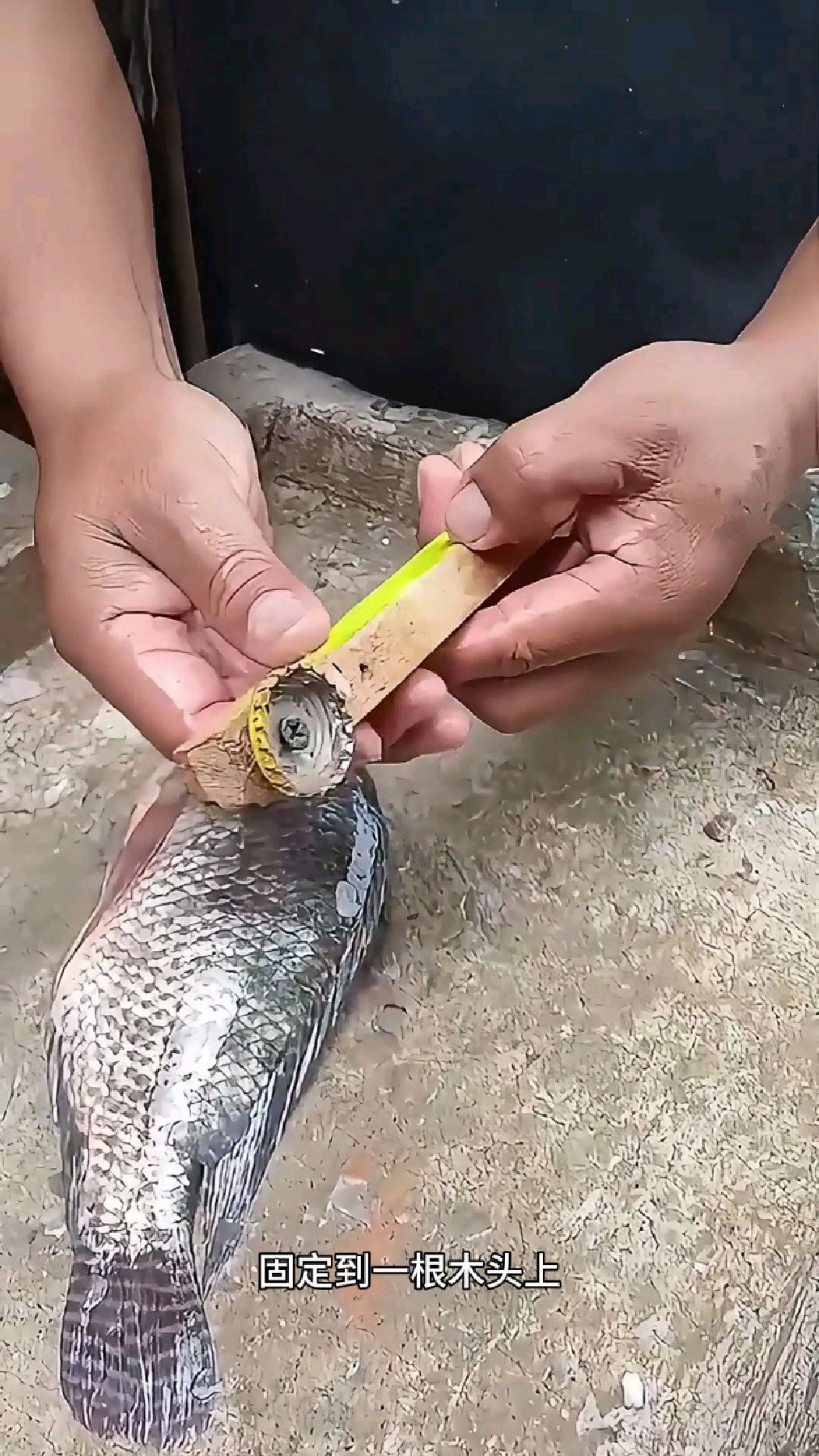 用啤酒瓶盖制作的刮鱼鳞神器你见过吗？看看惊人表现！