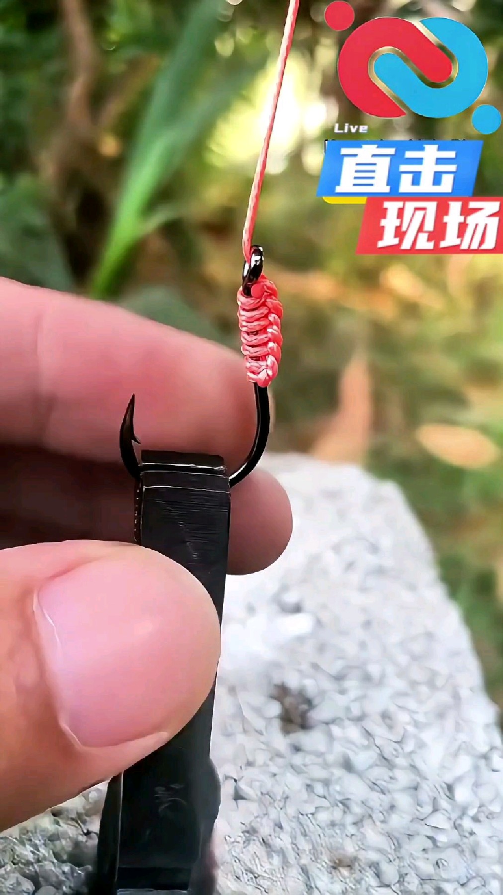 钓鱼人必看!国外专业鲨鱼钩绑法深度拆解,比普通绑法强在哪?