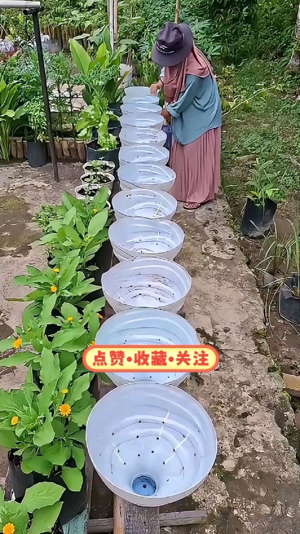 如何用废弃的饮料瓶制作一个菜地?各种水果蔬菜都能种!
