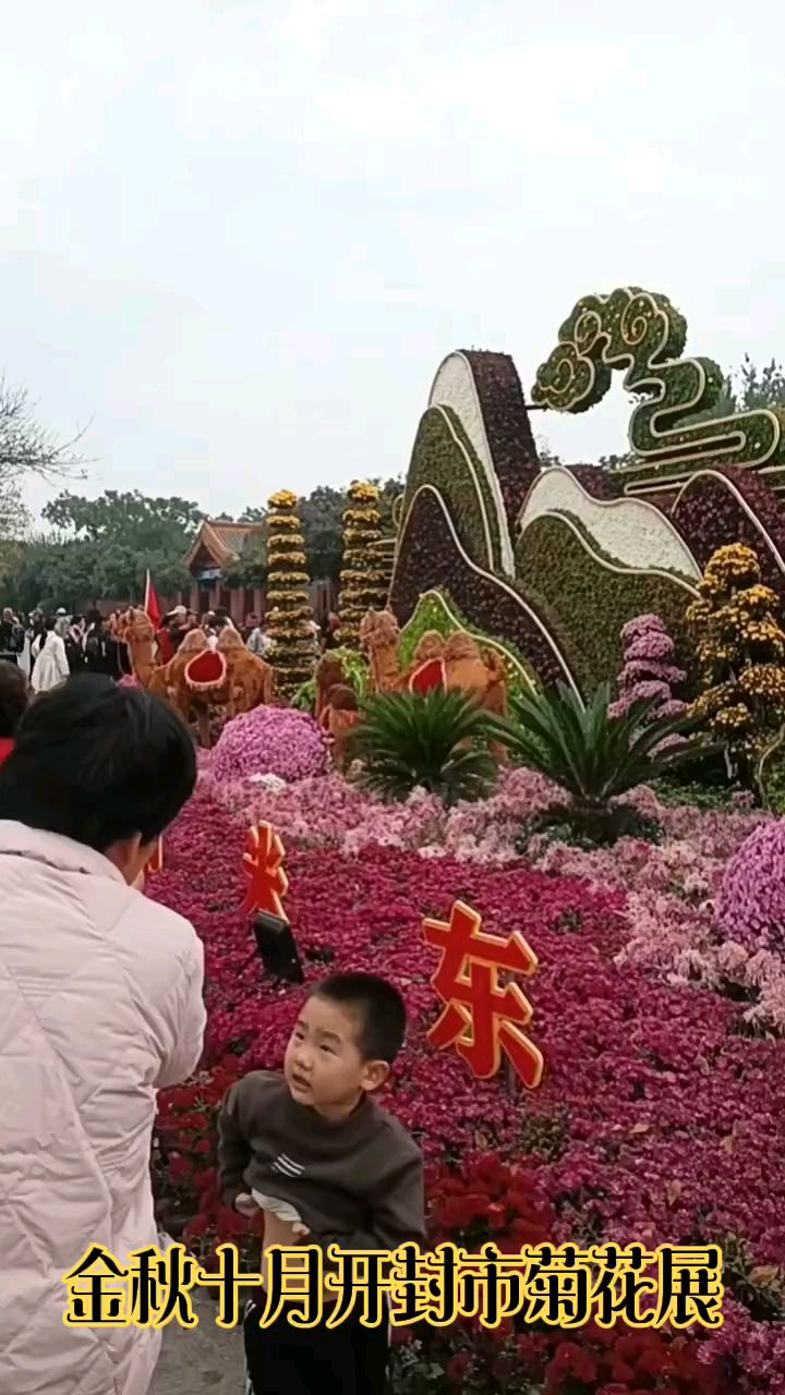 欣赏开封市菊花展