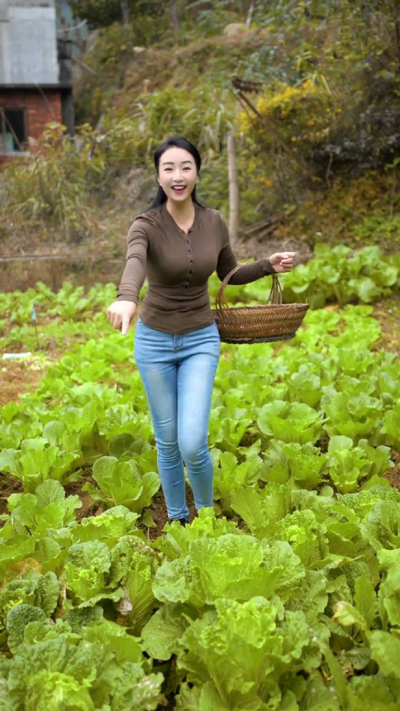 摘两颗大白菜晚上下火锅!