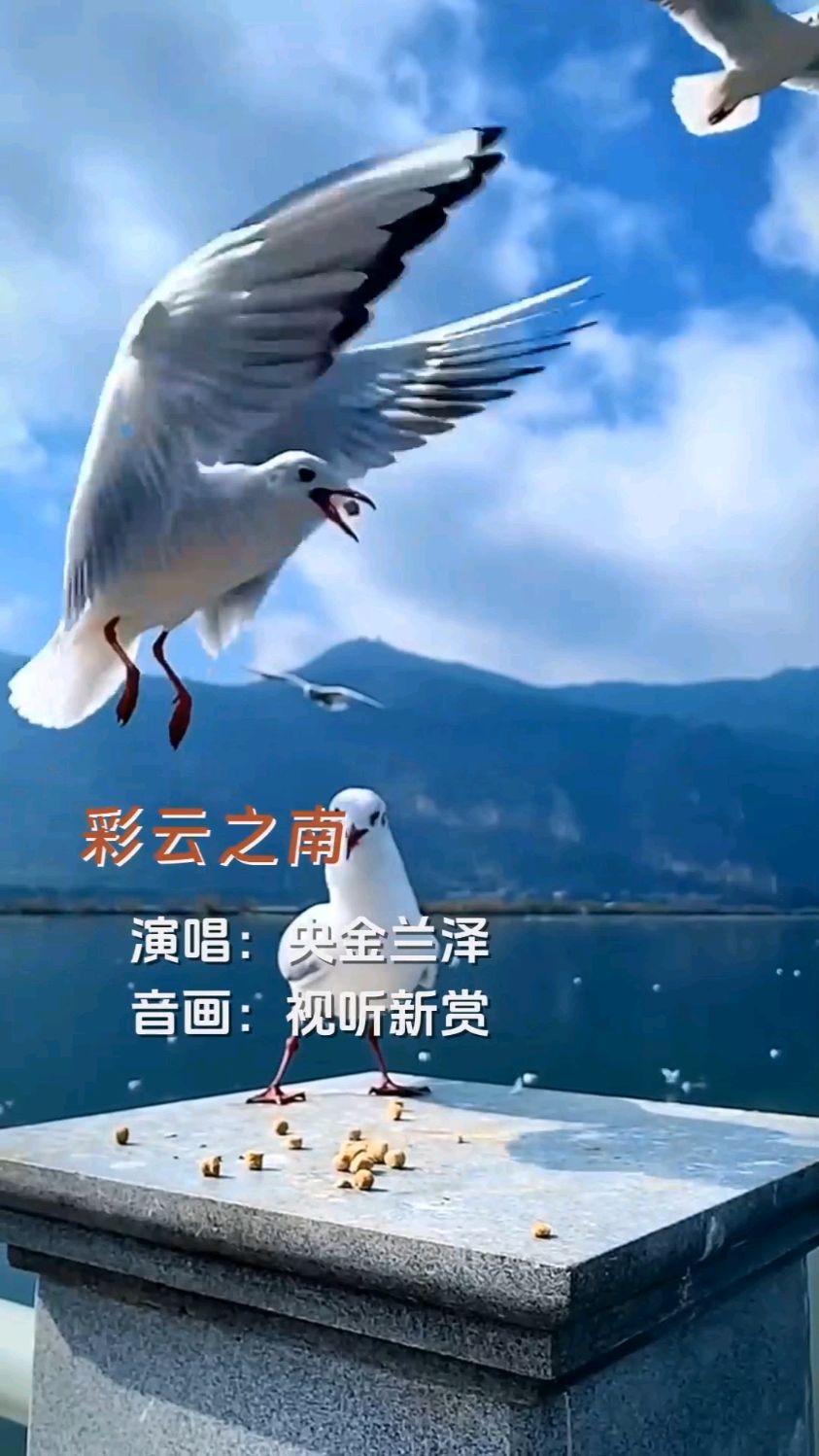 央金兰泽《彩云之南》
