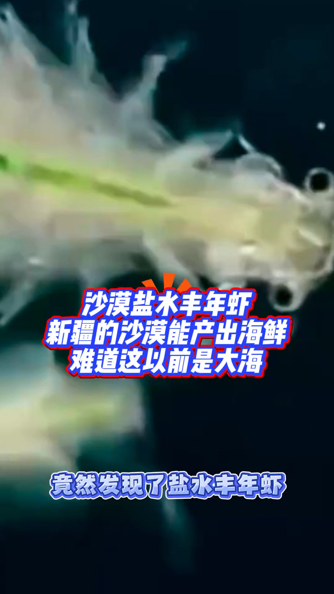 沙漠盐水丰年虾,新疆的沙漠能产出海鲜,难道这以前是大海