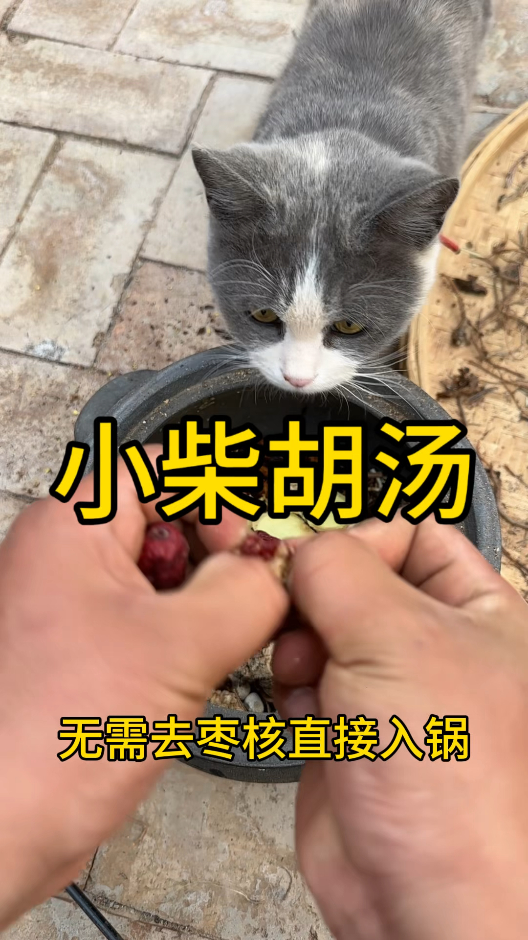 小柴胡汤天下第一方