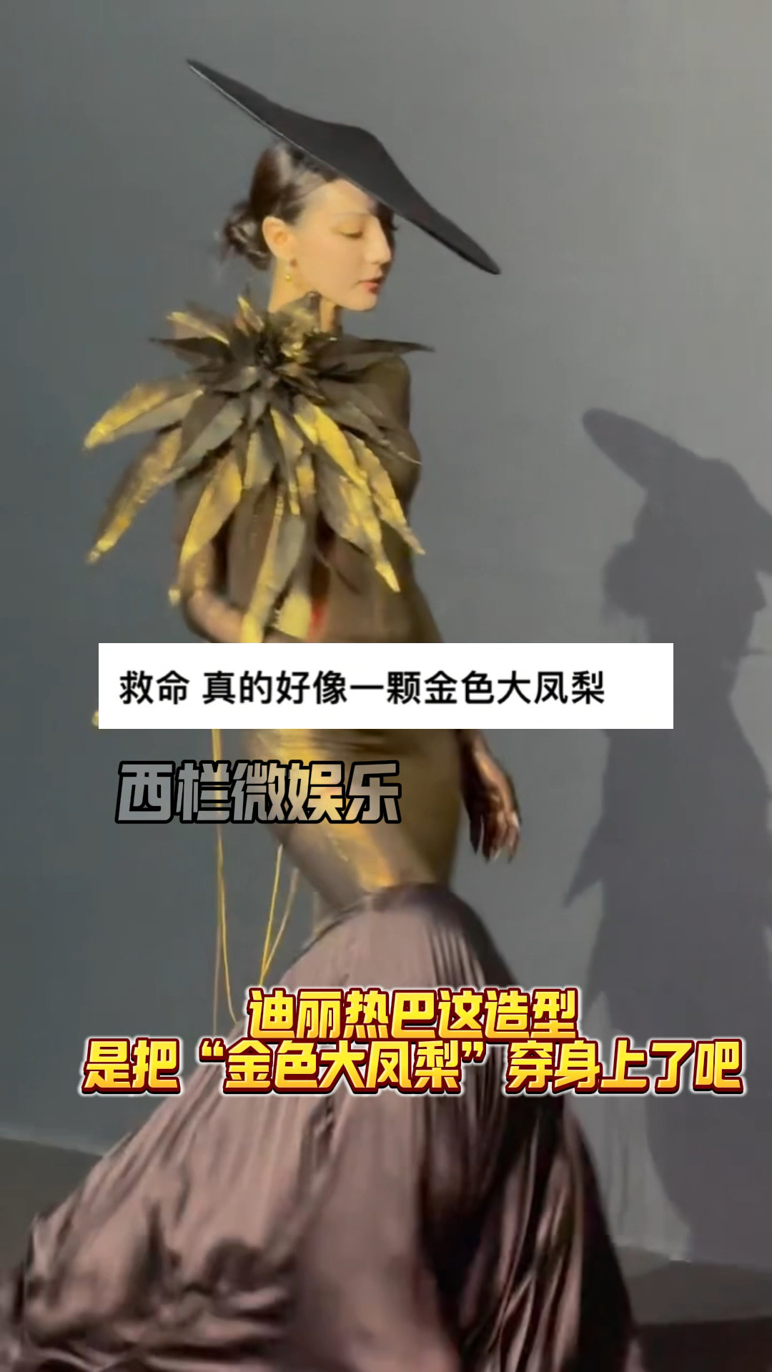 迪丽热巴红毯造型被吐槽,网友:好像会行走的金色大凤梨!