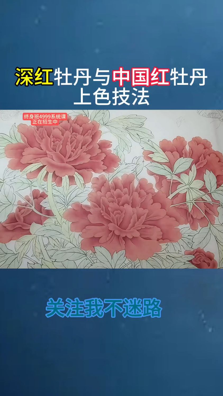 #花王图临摹#工笔花鸟#工笔国画直播#宋画入门教程#花王图白描底稿