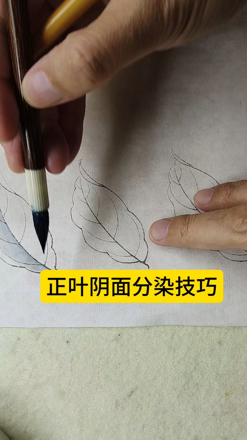 #零基础学工笔国画#工笔花鸟#工笔国画直播#宋画入门教程