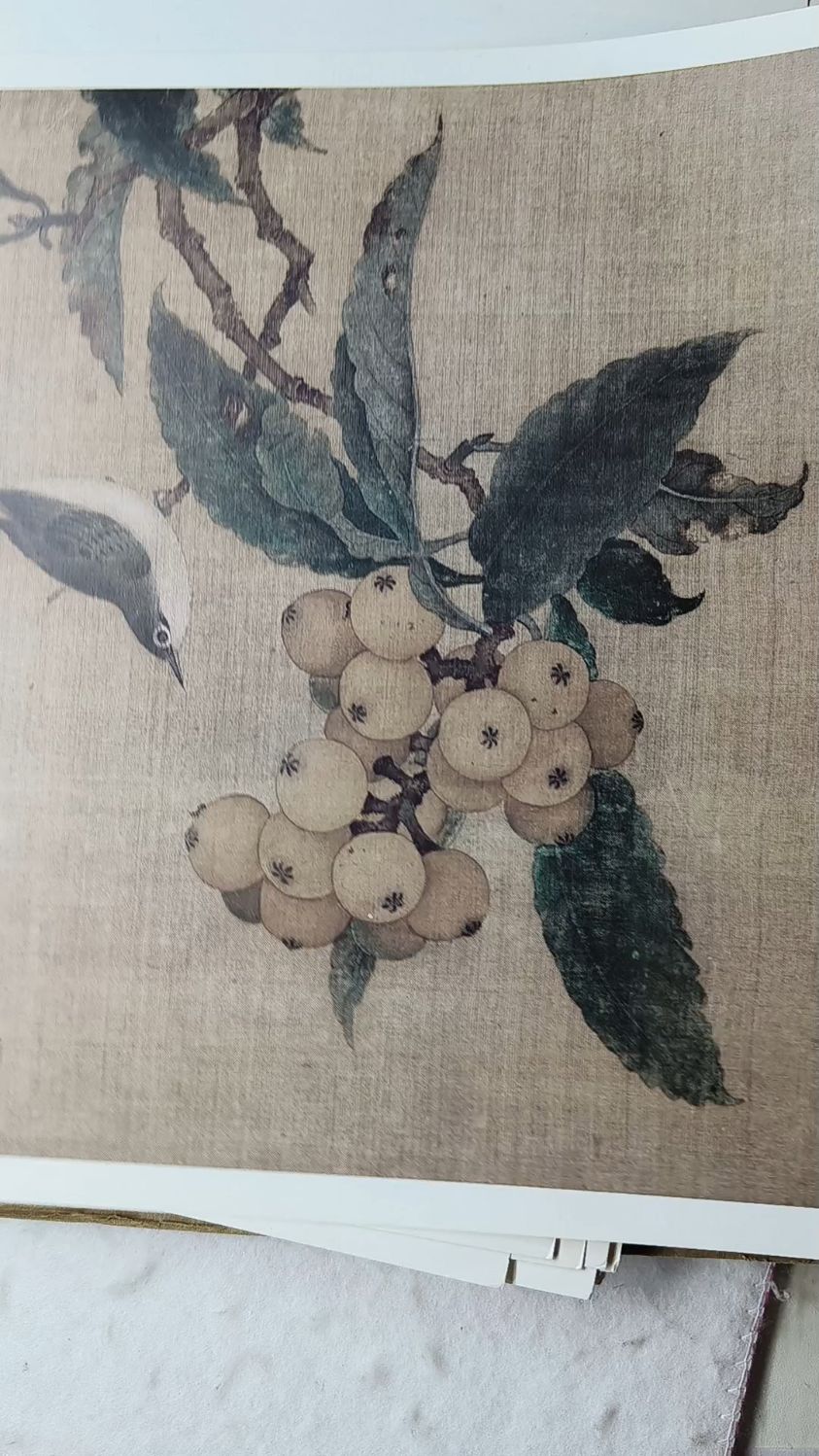 零基础学工笔国画#工笔花鸟#宋画白描底稿#宋画小品