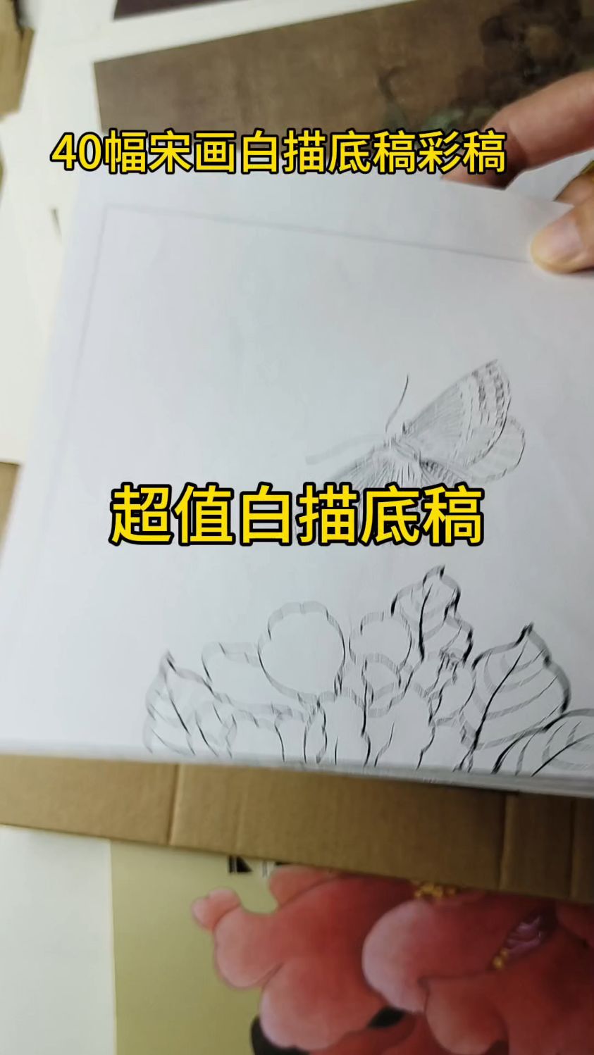 工笔国画教学#零基础学工笔国画#工笔花鸟#宋画白描底稿#宋画小品