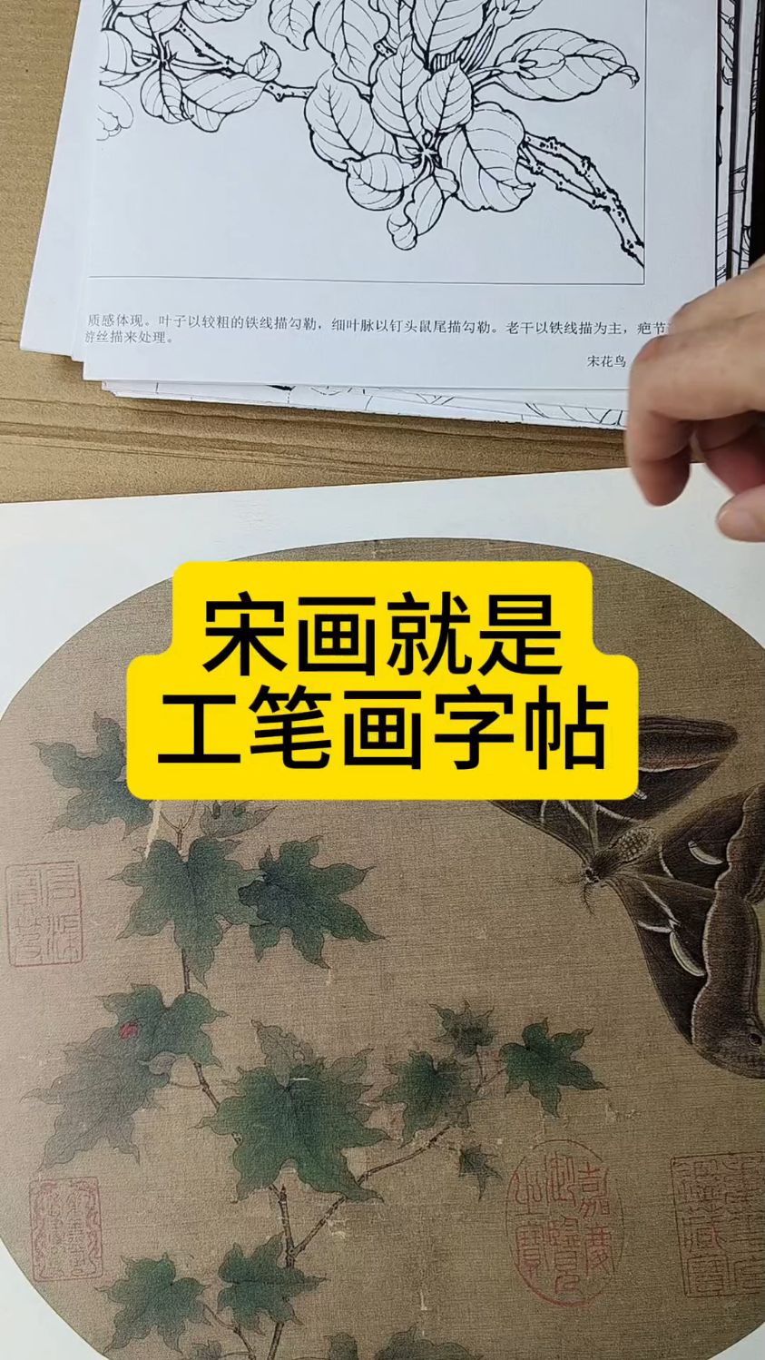 #工笔国画教学#零基础学工笔国画#工笔花鸟#宋画白描底稿#宋画小品