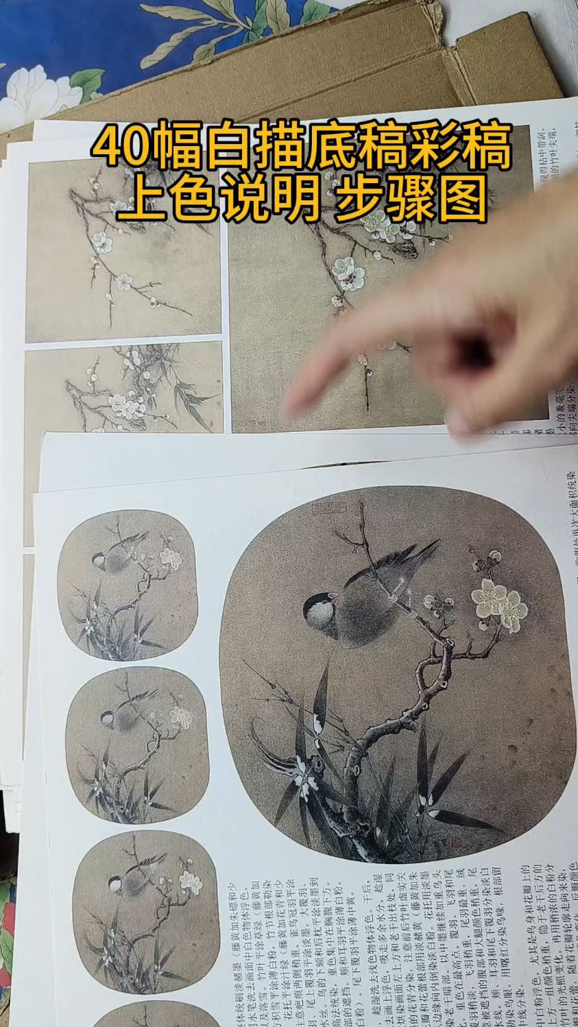 40幅宋画白描底稿#工笔花鸟#宋画白描底稿#宋画小品