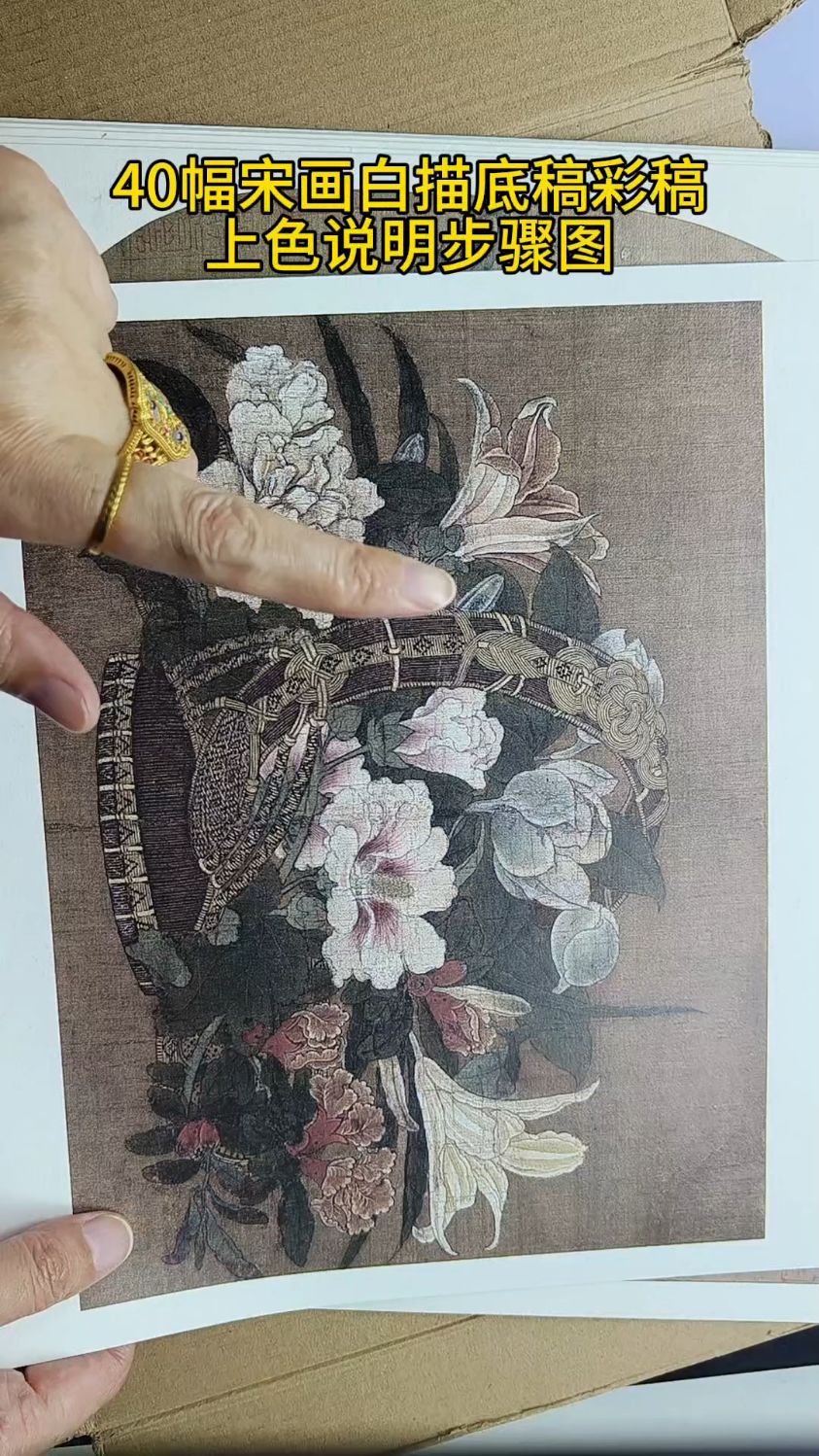 40幅白描底稿彩图#白描底稿#人物白描底稿#工笔花鸟#工笔牡丹