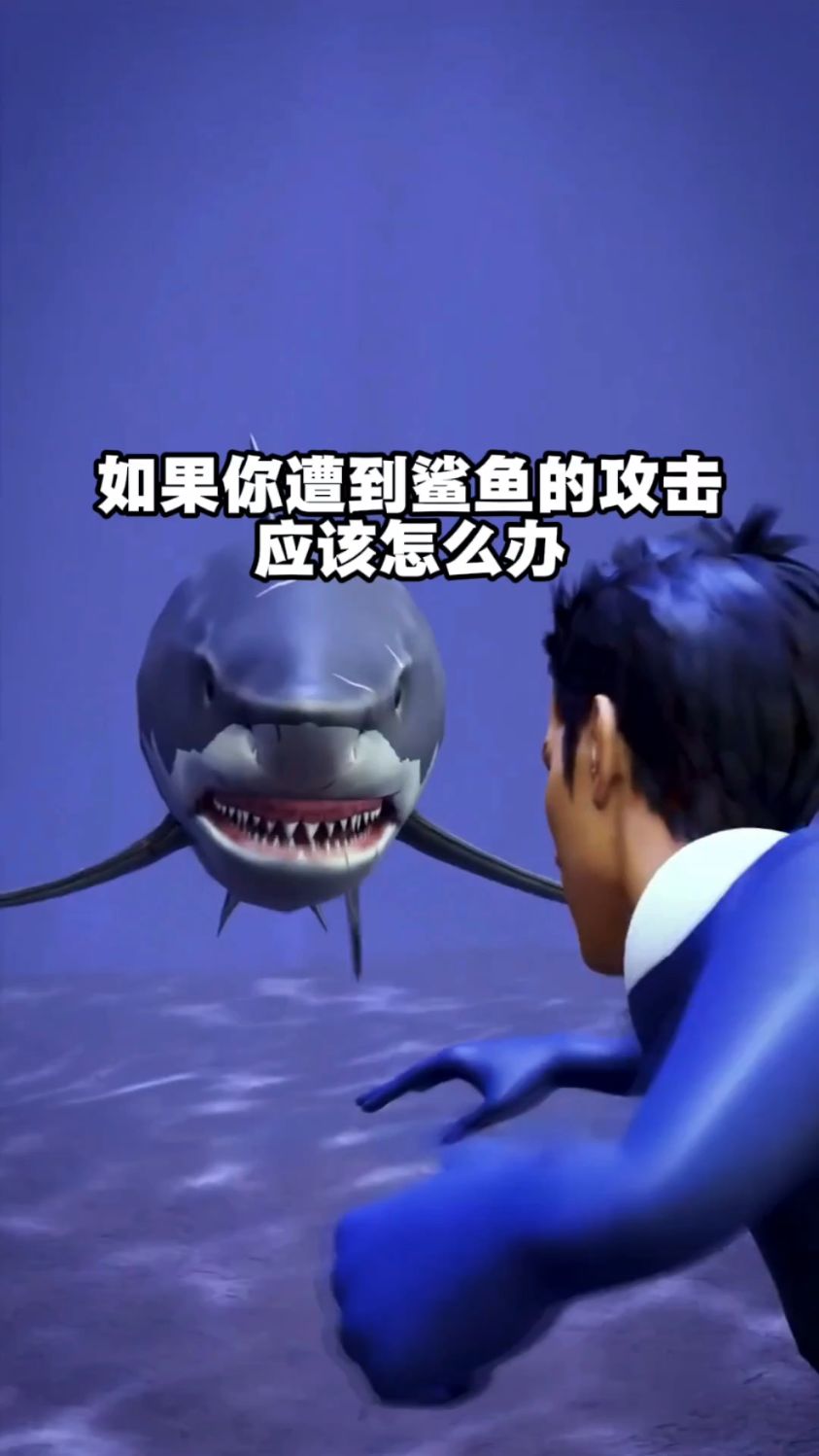 如果你遭到鲨鱼的攻击，应该怎么办？