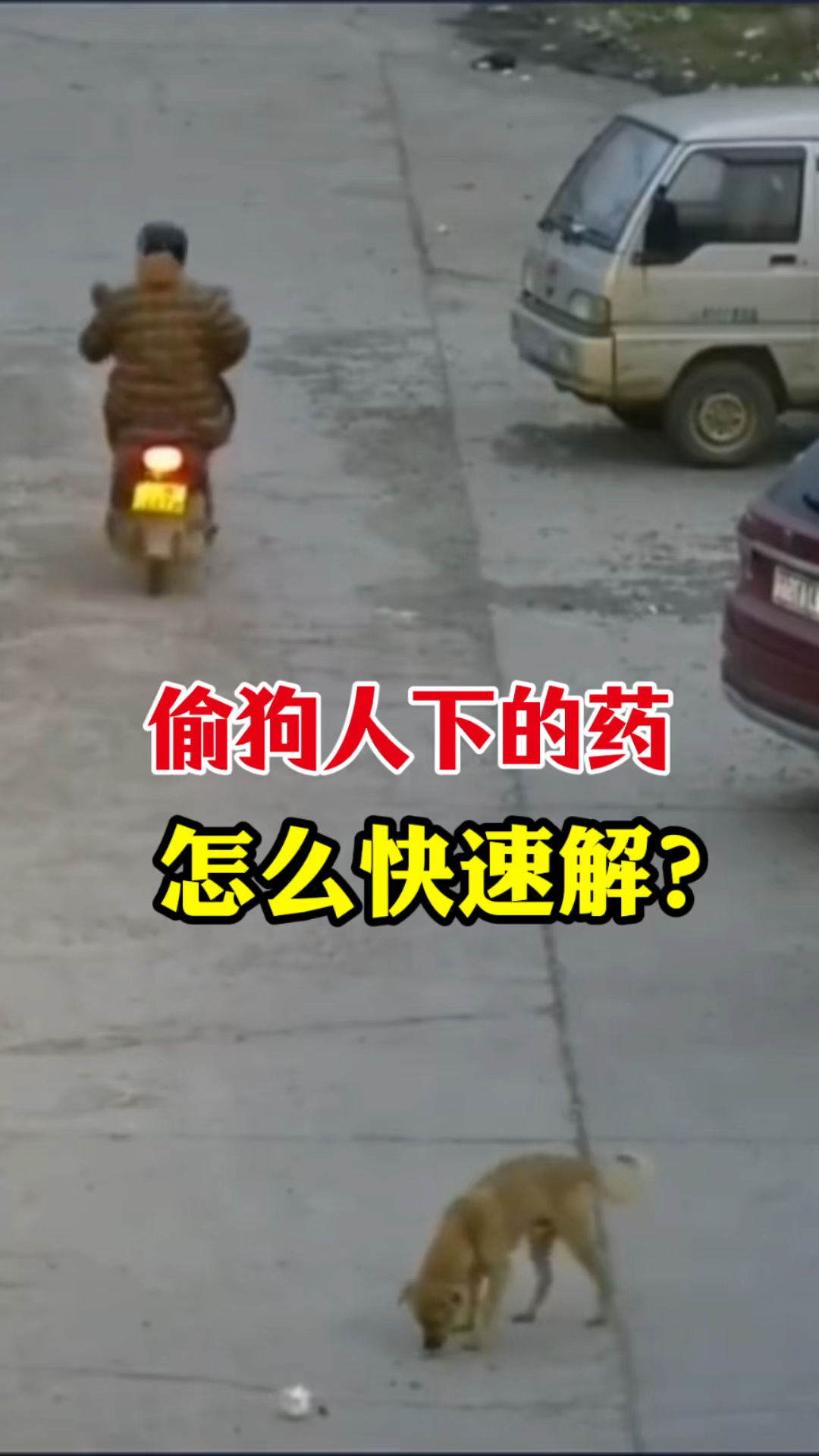 偷狗人下的药,怎么快速解?