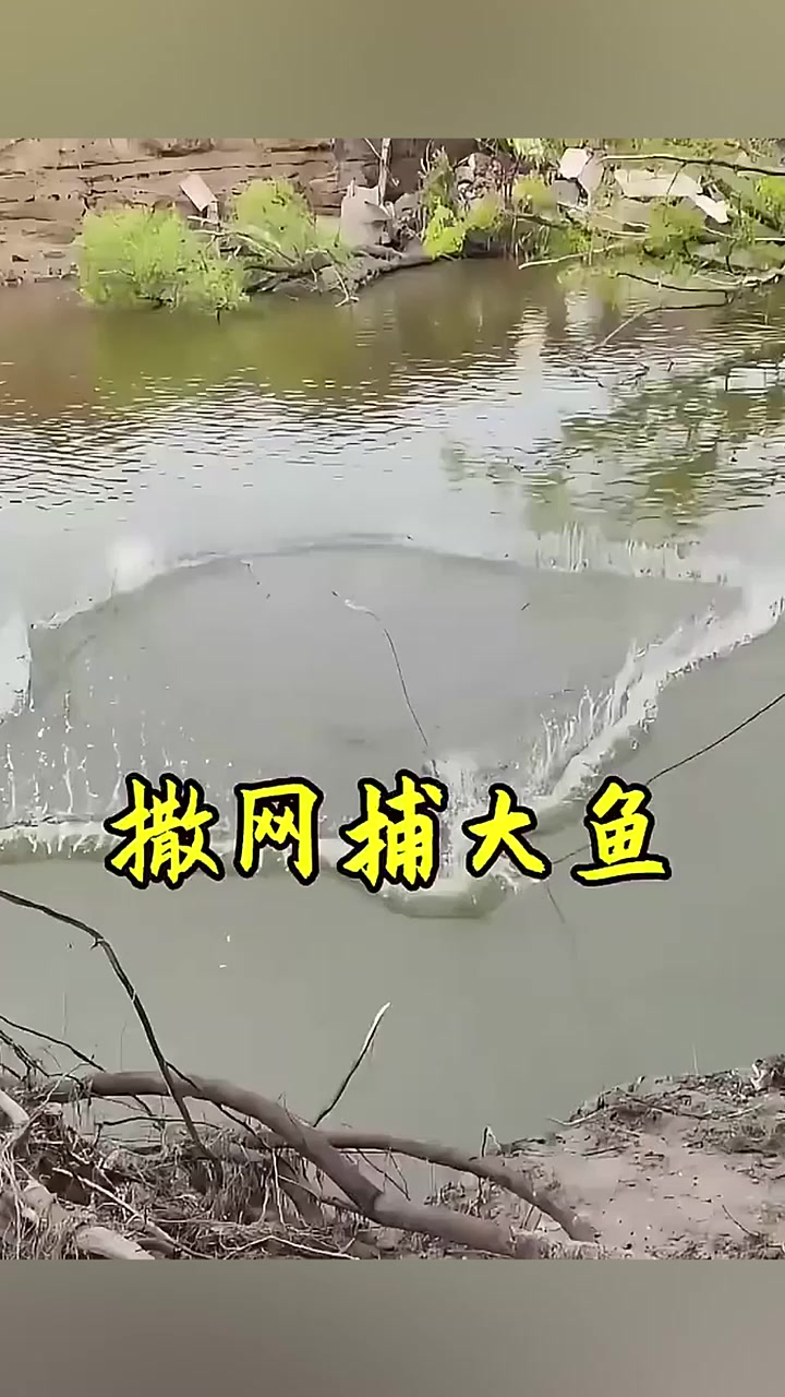 渔民来到一处水库,撒下鱼网,竟然有意想不到的收获!