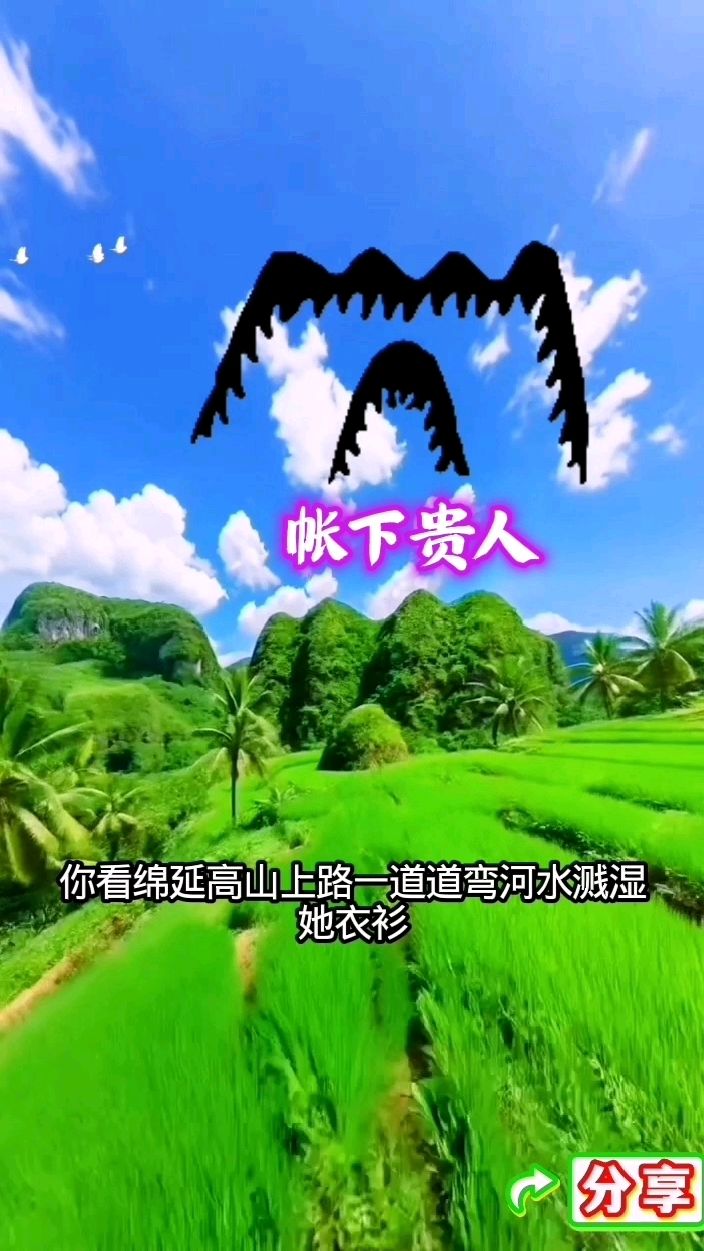帐下贵人,这奇幻田园,绿稻青山映蓝天