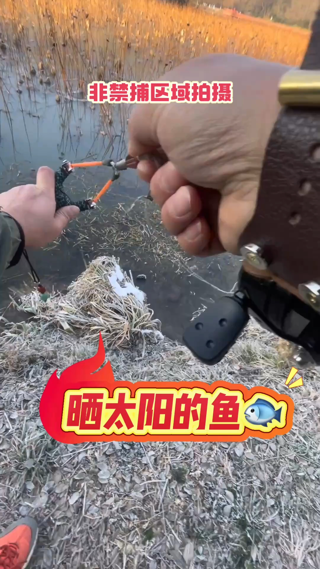 武哥户外猎甲 装备测评 弹弓镖射鱼