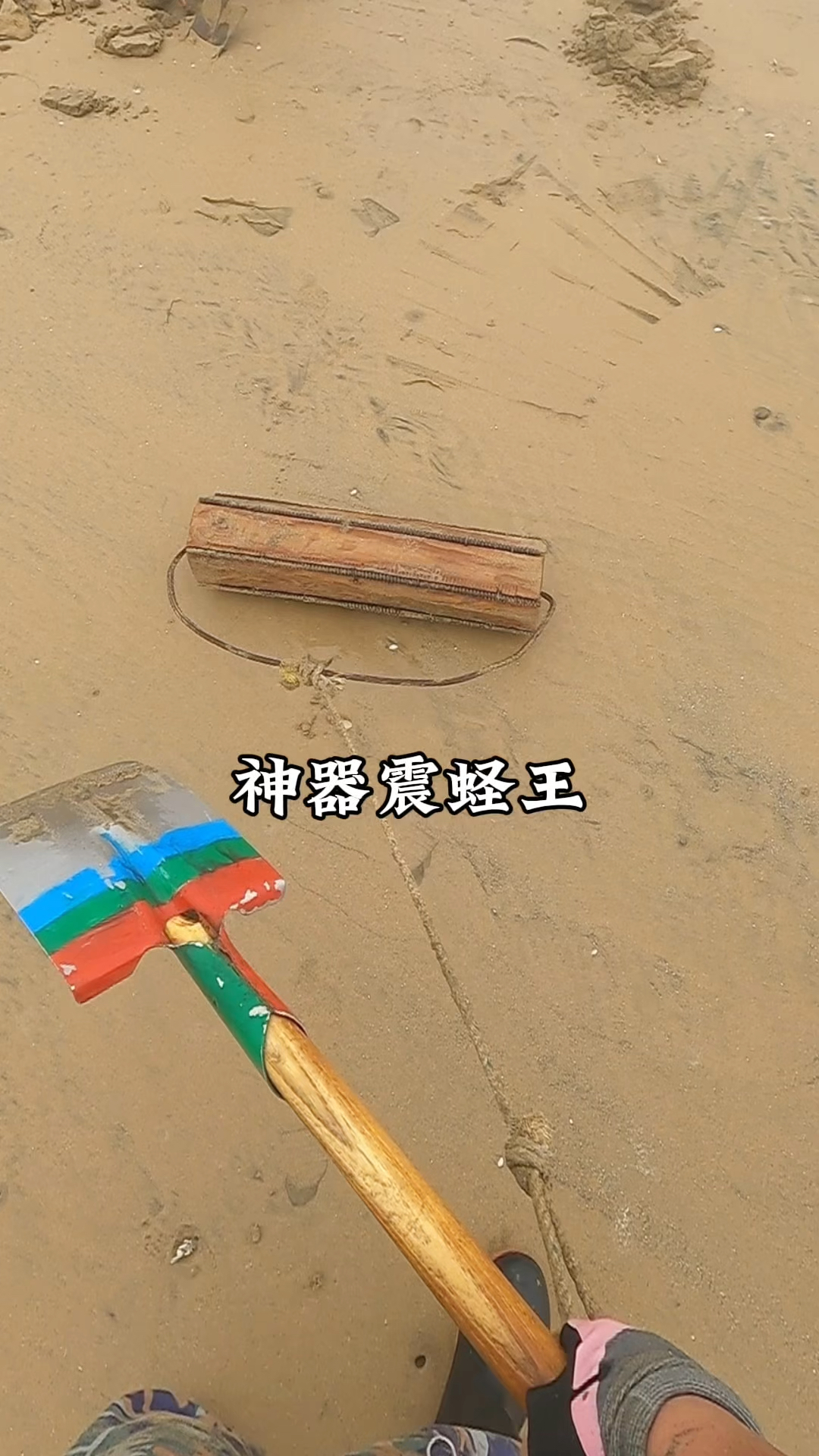 神器震蛏王通过震动沙子让蛏王受惊漏出蛏王洞