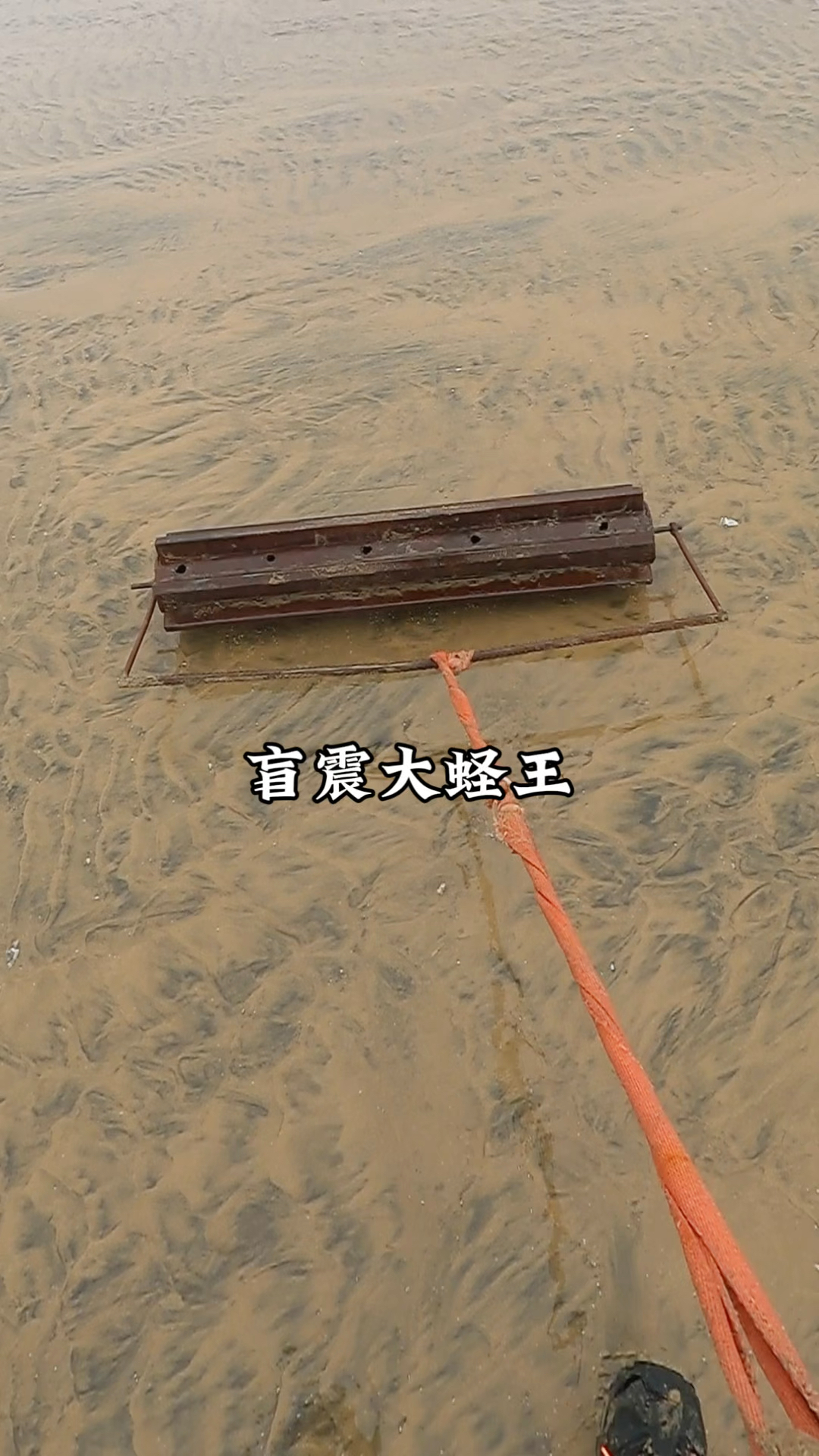 30斤的神器压过退潮后的沙子凭感觉发现蛏王洞