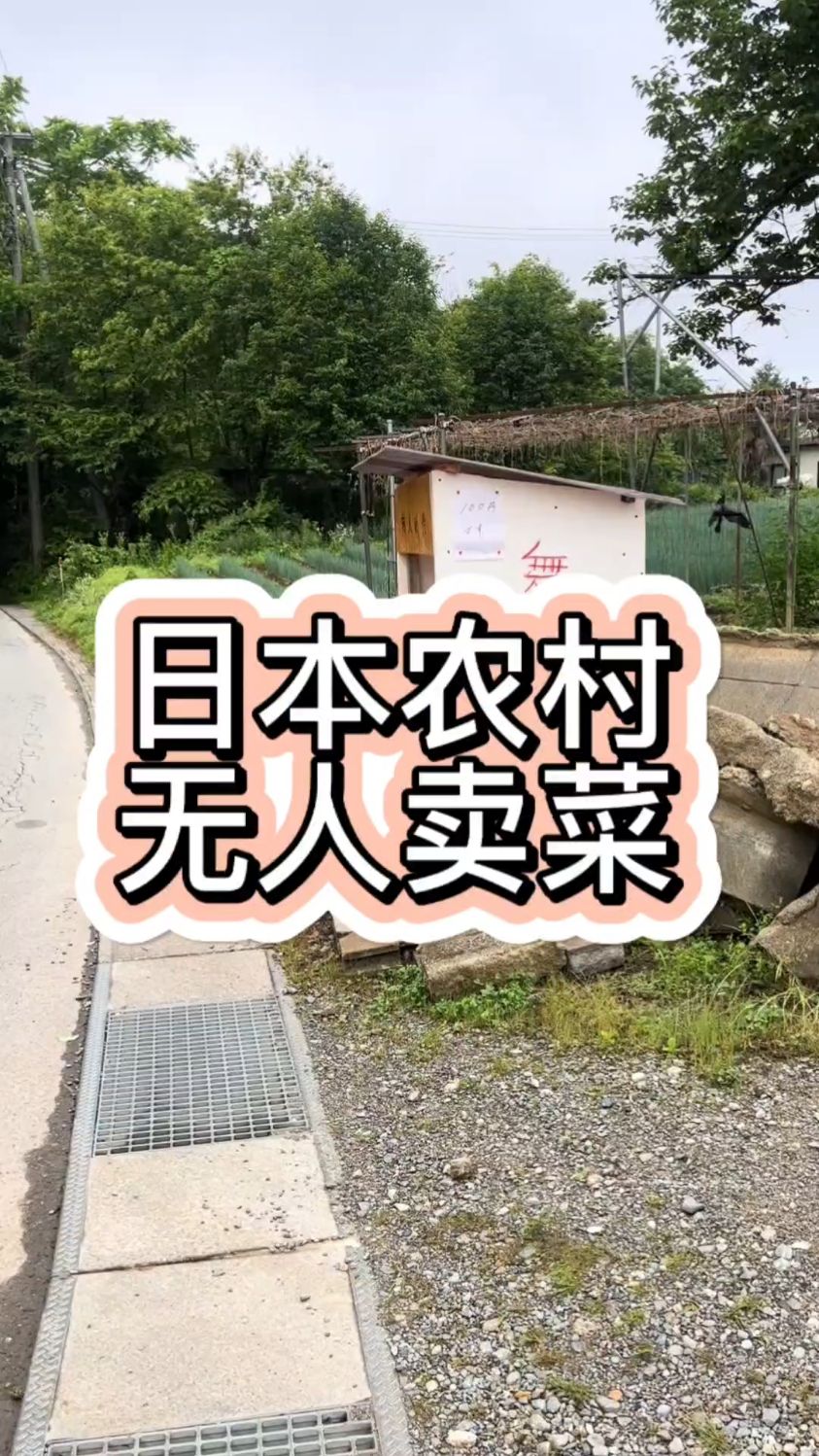 日本农村的无人卖菜摊。