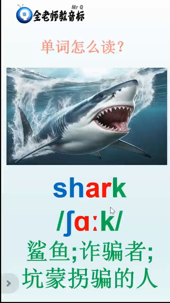 鲨鱼shark怎么读,音标如何拼