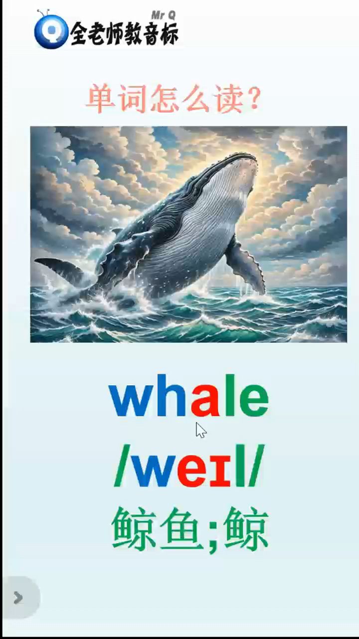 鲸鱼whale怎么读,英语音标如何拼