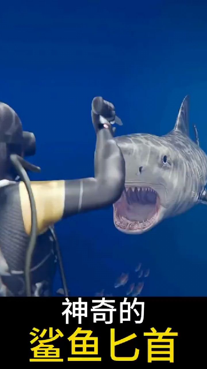 科普:神奇的鲨鱼匕首