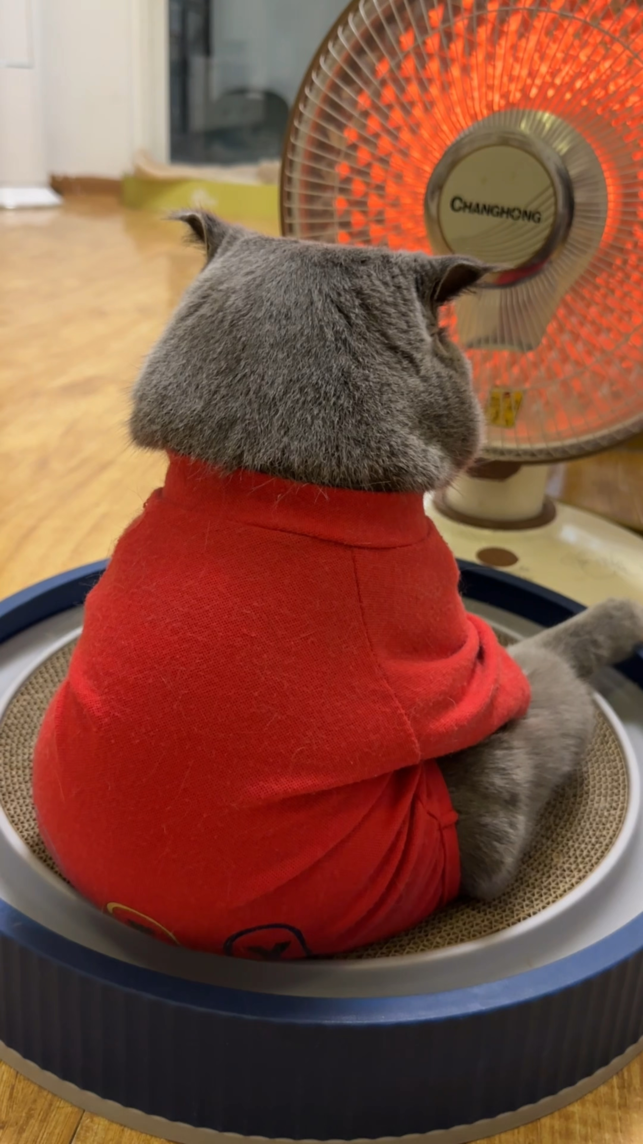 烤糊了好吃猫肉了