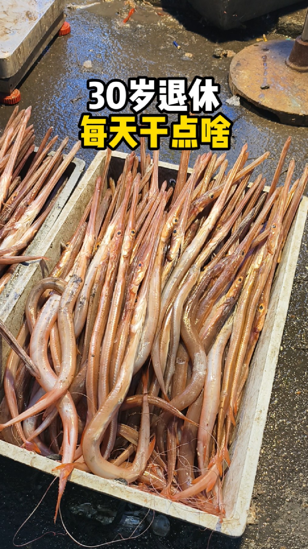 刚从船上卸下来的海鲜比市场便宜多少