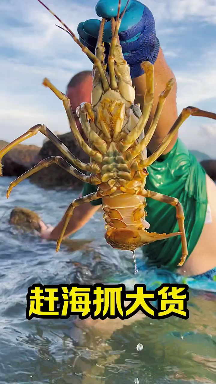 今天伙食不错，不过发现摄影师们看我的眼神不太对！