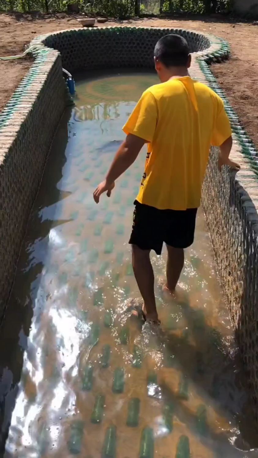 游泳池变成了养鱼池。