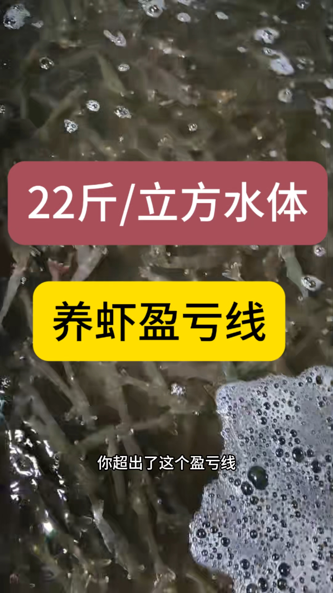工厂化养虾盈亏线:单产22斤每立方水体,你觉得呢?